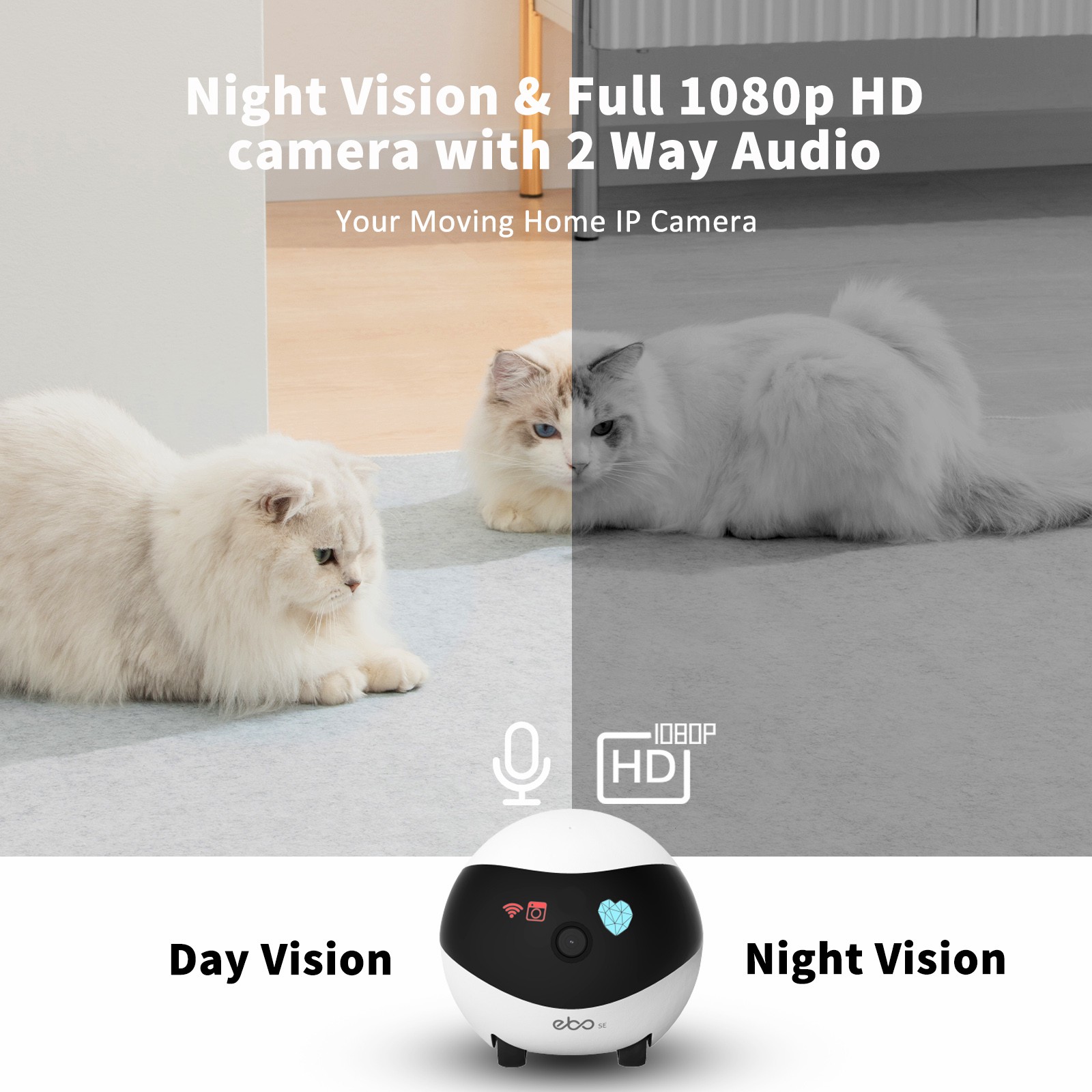 EBO SE Smart Home Robot Compan - Home Security Robots 评论和价格