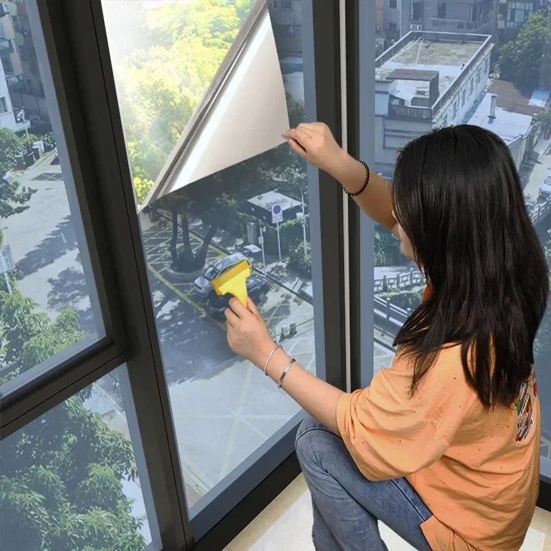 House Window Privacy Film Adhe - Home Security For Windows 评论和价格