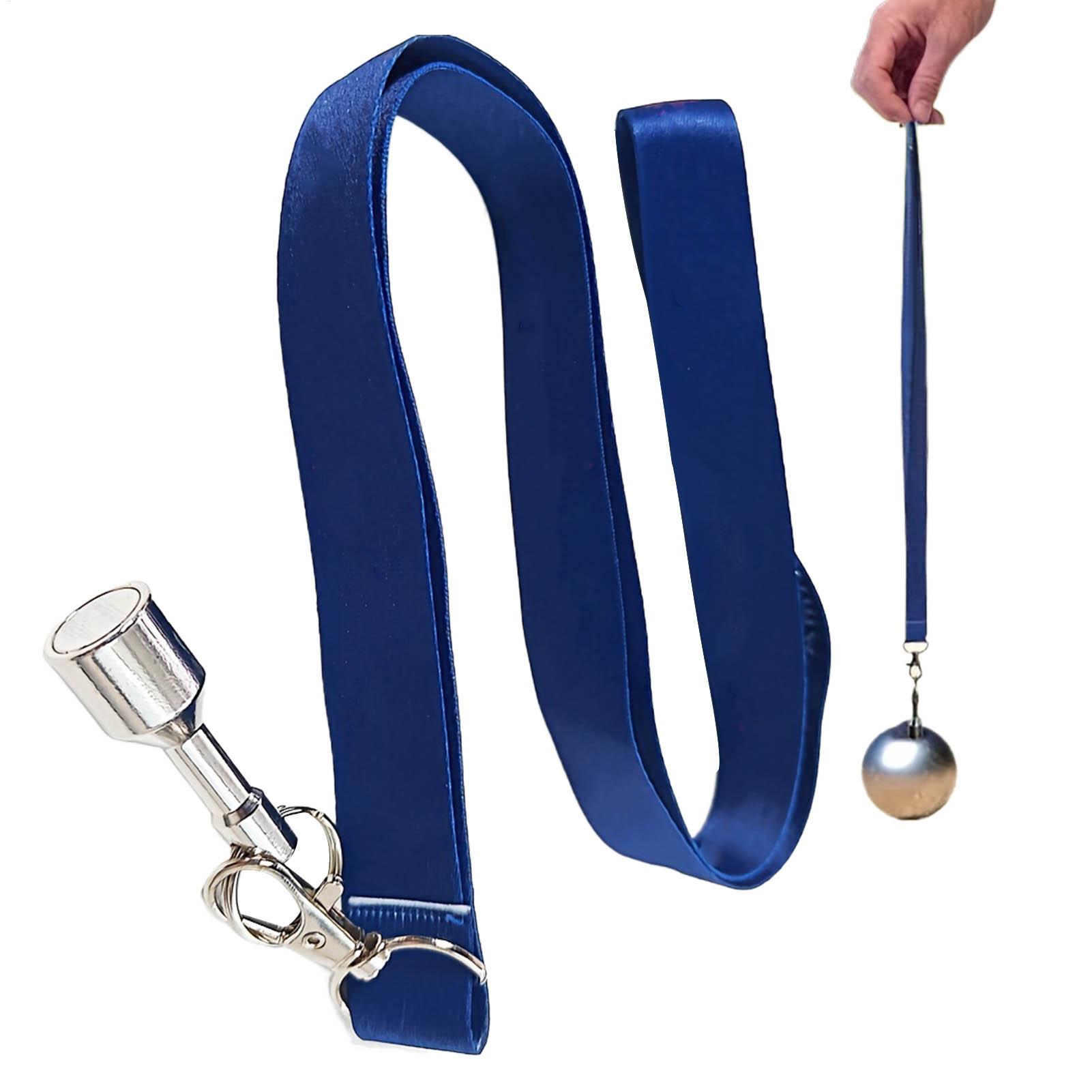 Bocce Balls Picker Set Secure  - Home Security Training 评论和价格