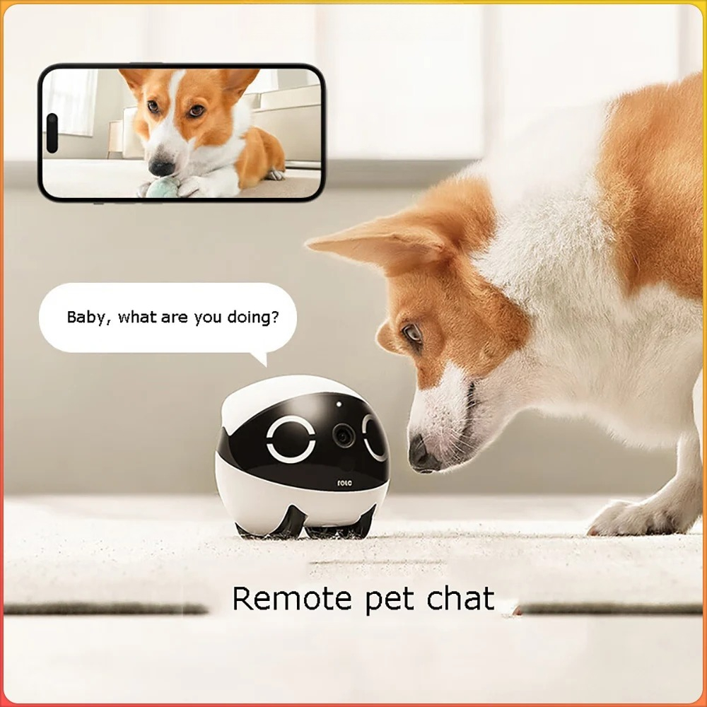 Home Security Pet Tumbler Desi - Home Security Robots 评论和价格