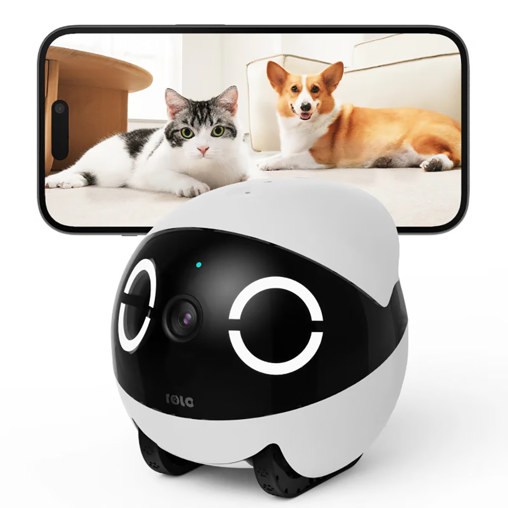 Home Security Pet Tumbler Desi - Home Security Robots 评论和价格