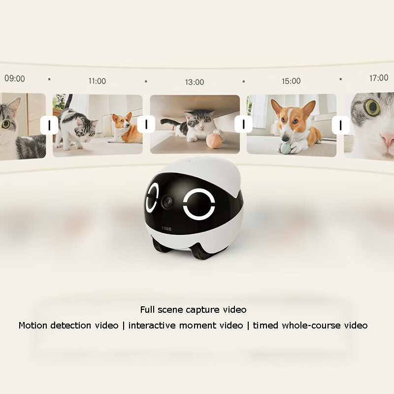 Home Security Pet Tumbler Desi - Home Security Robots 评论和价格