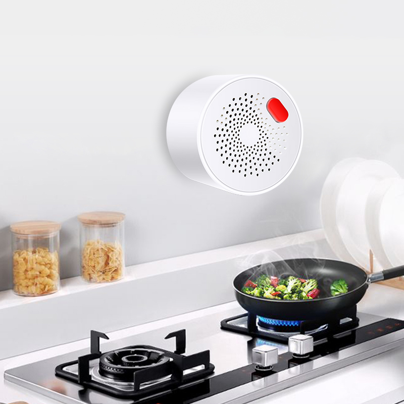 Tuya Smart Home Wifi Natural G - Home Security Business 评论和价格