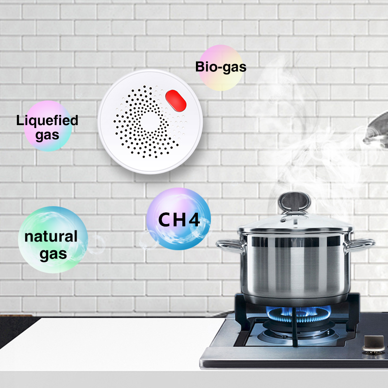Tuya Smart Home Wifi Natural G - Home Security Business 评论和价格