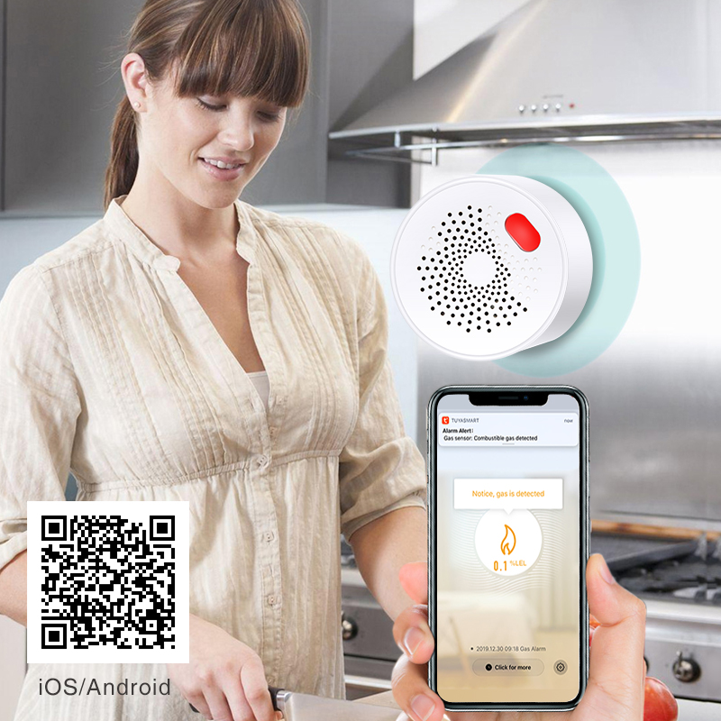 Tuya Smart Home Wifi Natural G - Home Security Business 评论和价格